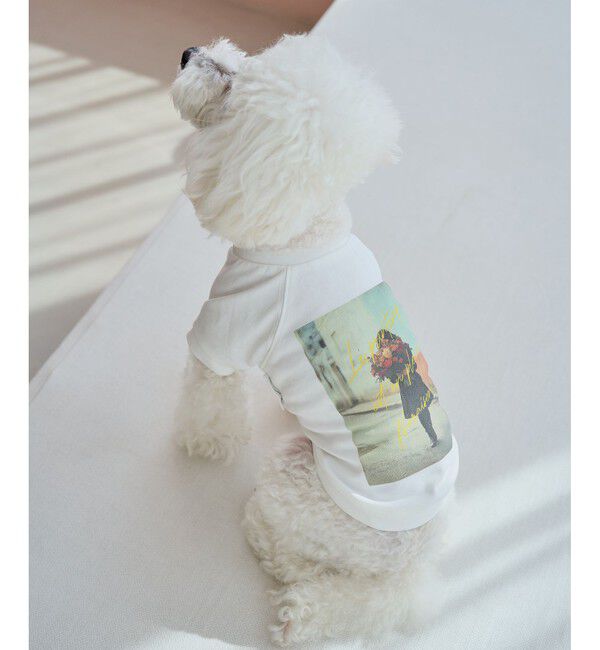 ROPE PICNIC PASSAGE「【DOG】RENUフォト&ロゴTシャツ/リンクコーデ」|その他|