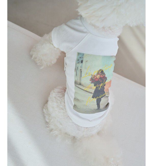 ROPE PICNIC PASSAGE「【DOG】RENUフォト&ロゴTシャツ/リンクコーデ」|その他|