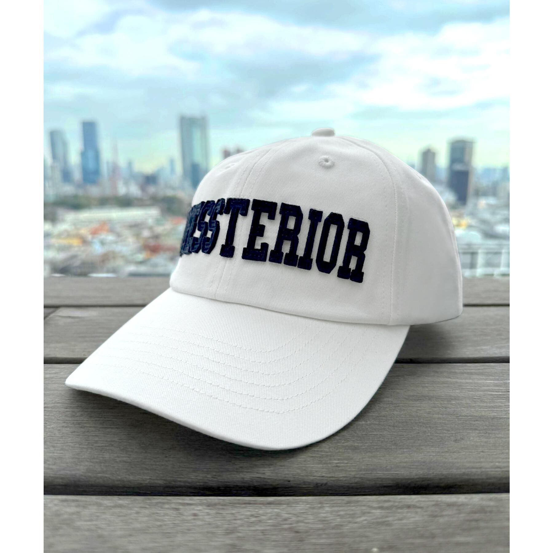 DRESSTERIOR「DRESSTERIORロゴキャップ」|キャップ・キャスケット|