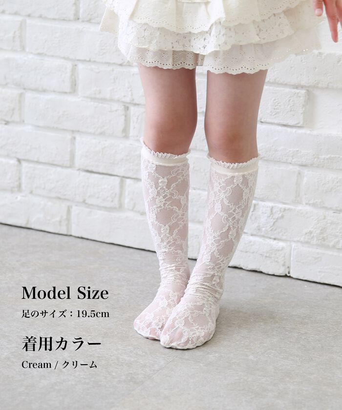 BACKYARD FAMILY「靴下 キッズ 女の子 ハイソックス 通販 長靴下 46012102 ソックス」|ソックス|