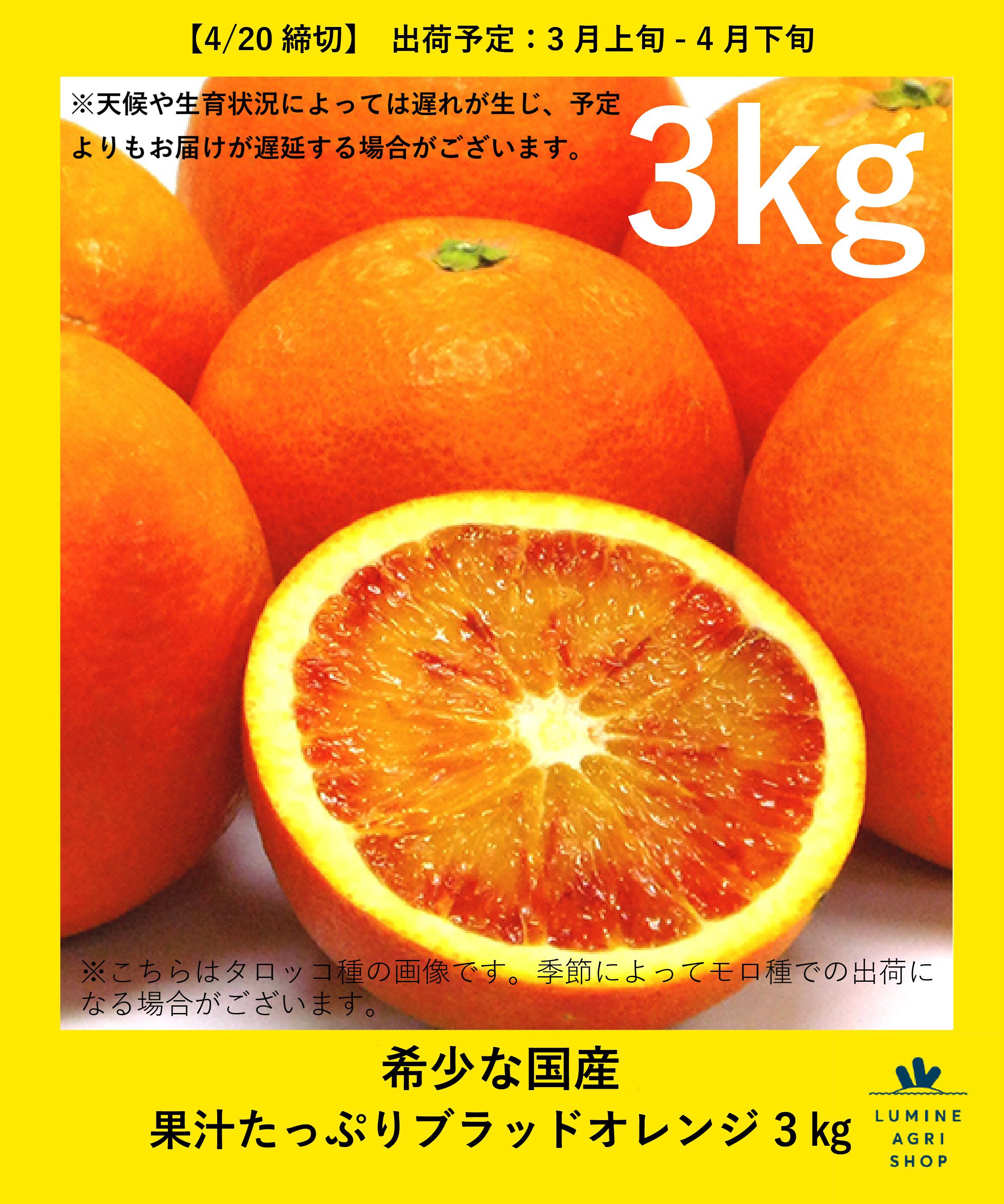 LUMINE AGRI SHOP「希少な国産　果汁たっぷり　ブラッドオレンジ 3㎏」|果物・野菜|その他