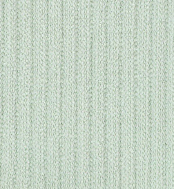 BEAUTY&YOUTH UNITED ARROWS「ペール リブソックス」|ソックス|