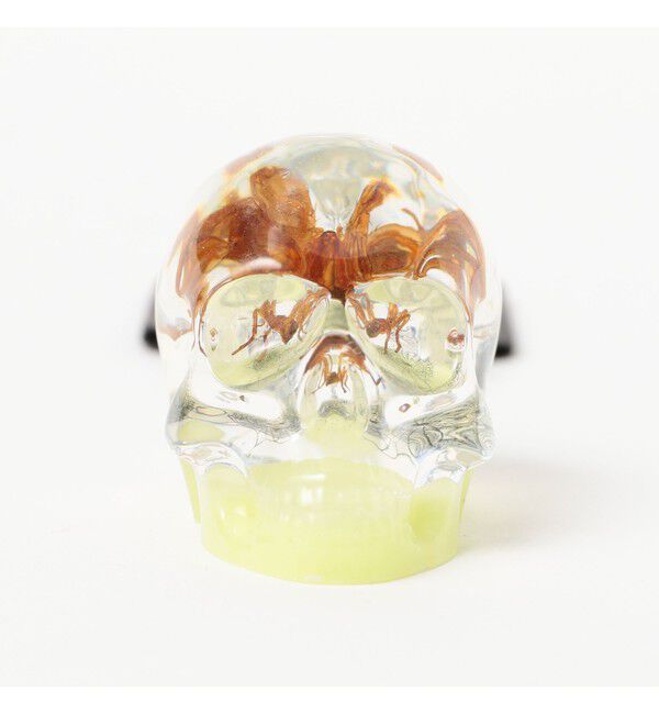 BEAMS「REAL BUG / SKULL KEY CHAIN」|その他|