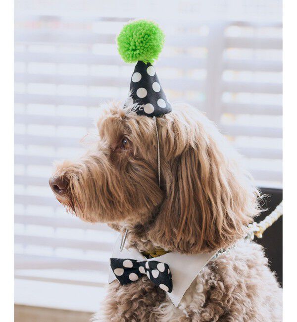 ROPE PICNIC PASSAGE「【DOG】【comif(コミフ)&times;ROPE' PICNIC】バースデーセット」|その他|