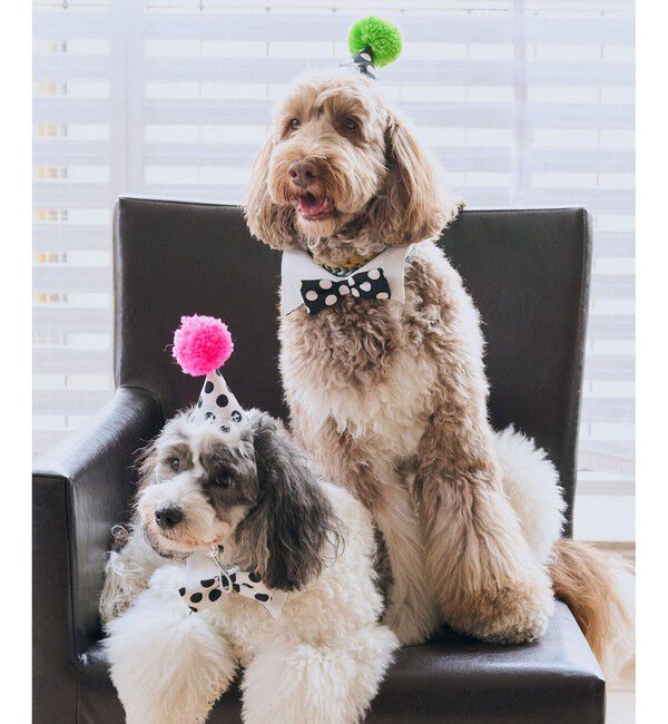 ROPE PICNIC PASSAGE「【DOG】【comif(コミフ)&times;ROPE' PICNIC】バースデーセット」|その他|