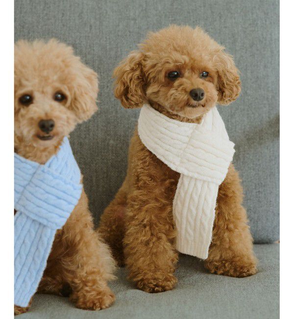 ROPE PICNIC PASSAGE「【DOG】ケーブル編みニットマフラー」|その他|