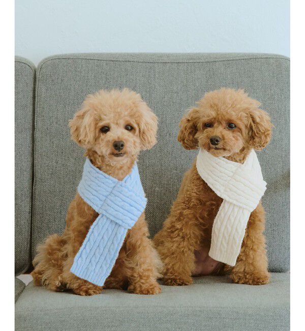 ROPE PICNIC PASSAGE「【DOG】ケーブル編みニットマフラー」|その他|
