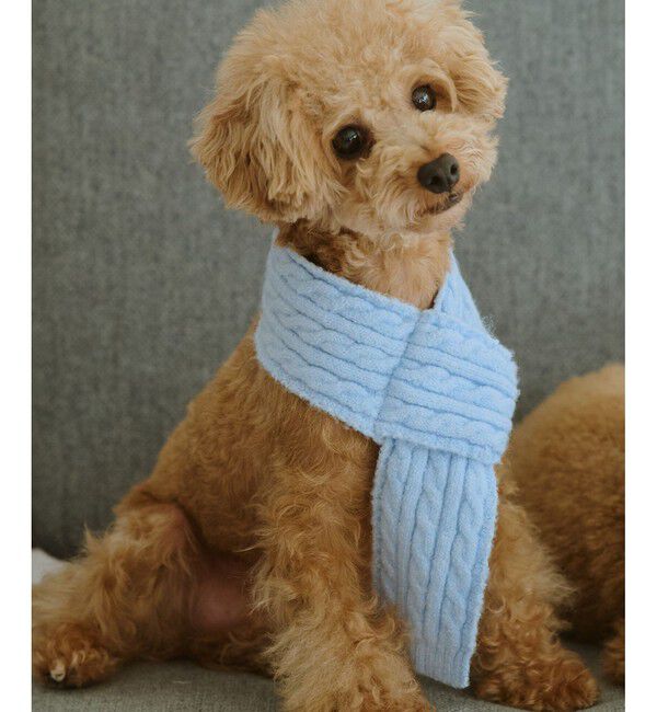 ROPE PICNIC PASSAGE「【DOG】ケーブル編みニットマフラー」|その他|サックス(48)
