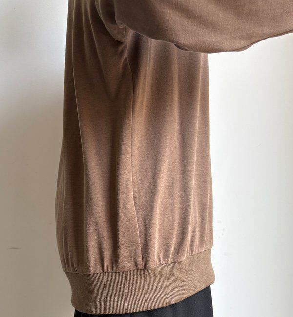  「【WEB限定】シアー切替カットソー」|Tシャツ・カットソー|