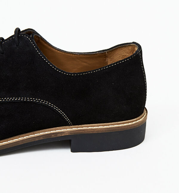 alfredoBANNISTER「【SHOO IN SHOE】スエード ダービーシューズ 一部店舗＋WEB限定」|その他|