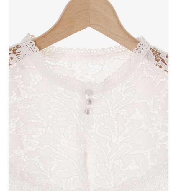 MAJESTICLEGON「レースカラーハーフスリーブニット」|ニット・セーター|