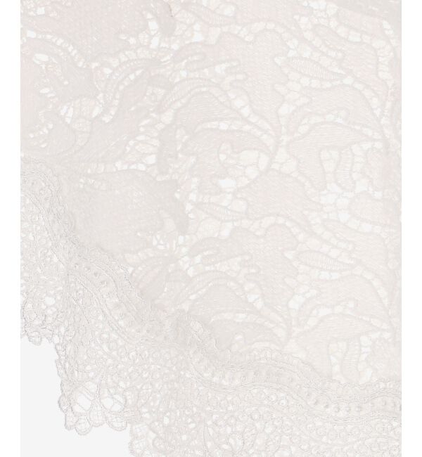 MAJESTICLEGON「レースカラーハーフスリーブニット」|ニット・セーター|