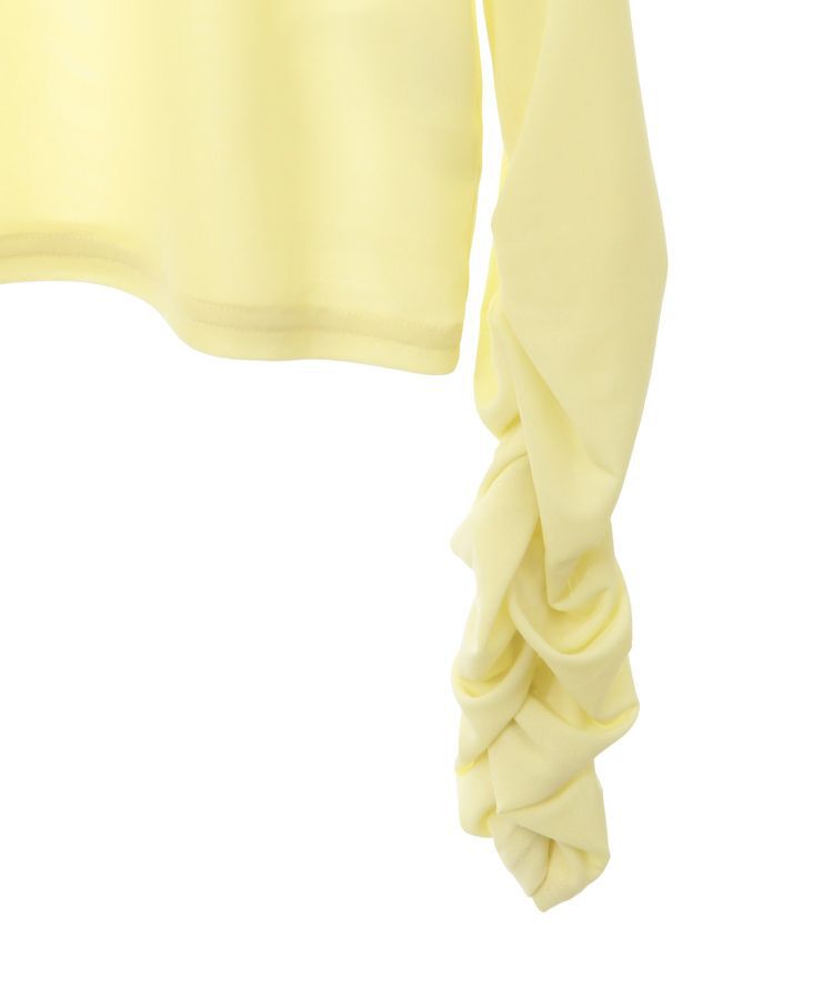 earth music&ecology「シャーリングスリーブシアープルオーバー」|Tシャツ・カットソー|