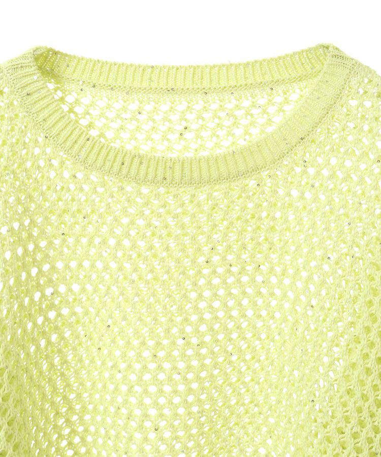 earth music&ecology「スパンコールメッシュニットプルオーバー」|ニット・セーター|