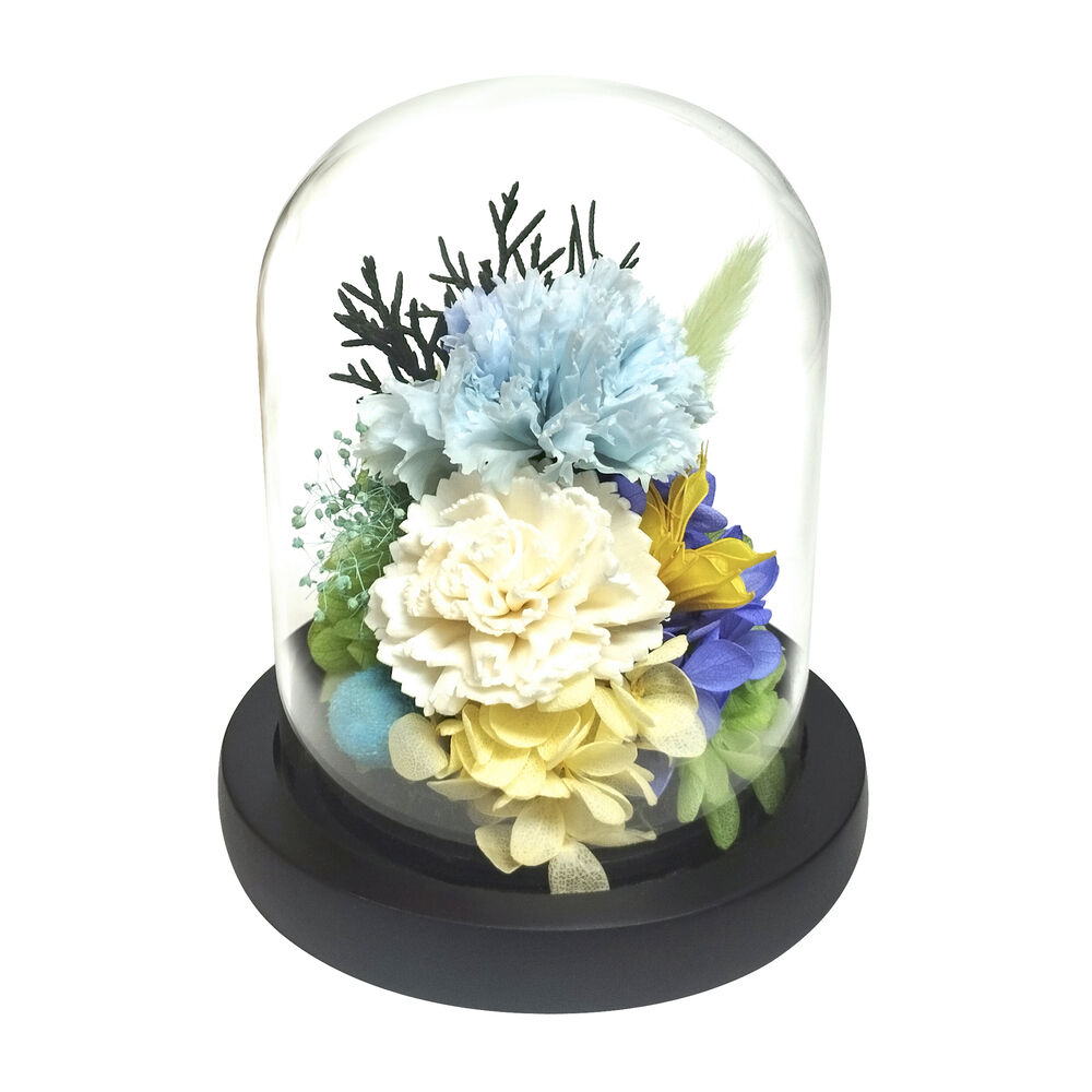 BACKYARD FAMILY「ガラスドーム インテリア アレンジメント L 通販 フラワーアレンジメント プリザーブドフラワー」|その他|ホワイト2