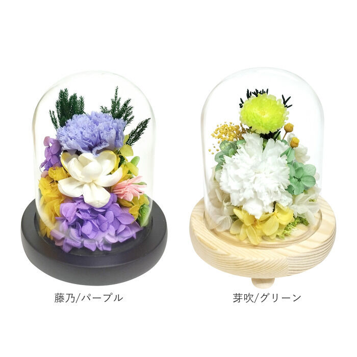 BACKYARD FAMILY「ガラスドーム インテリア アレンジメント L 通販 フラワーアレンジメント プリザーブドフラワー」|その他|