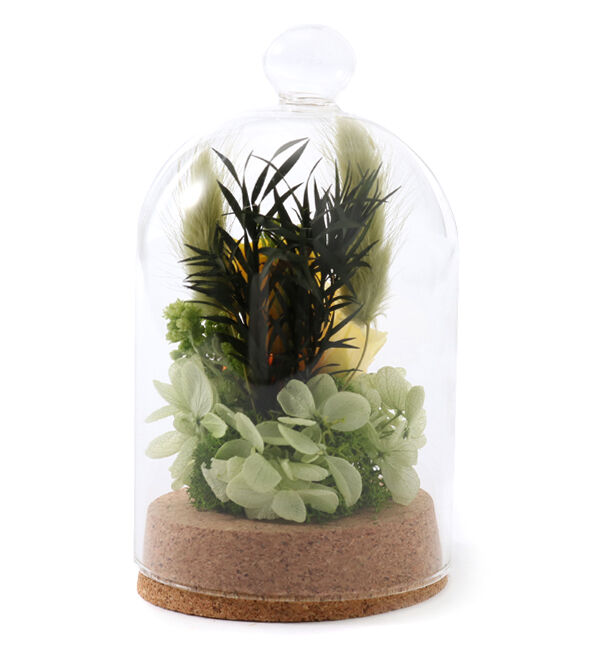 fleurage un「ガラスドーム型プリザーブドフラワー入りアレンジメント〈イエロー〉」|その他|