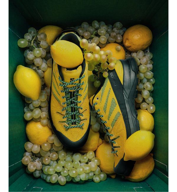 JOURNAL STANDARD「《予約》SALOMON / サロモン exclusive X-ALP WOVEN」|スニーカー|イエロー