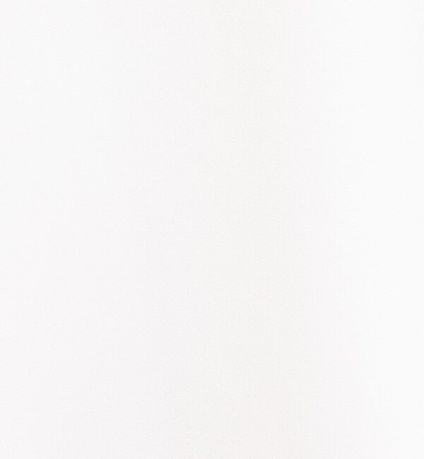 NOLLEY'S「◇【WEB限定】ウォッシャブルオトナサテン衿カフス付きＴブラウス」|シャツ・ブラウス|