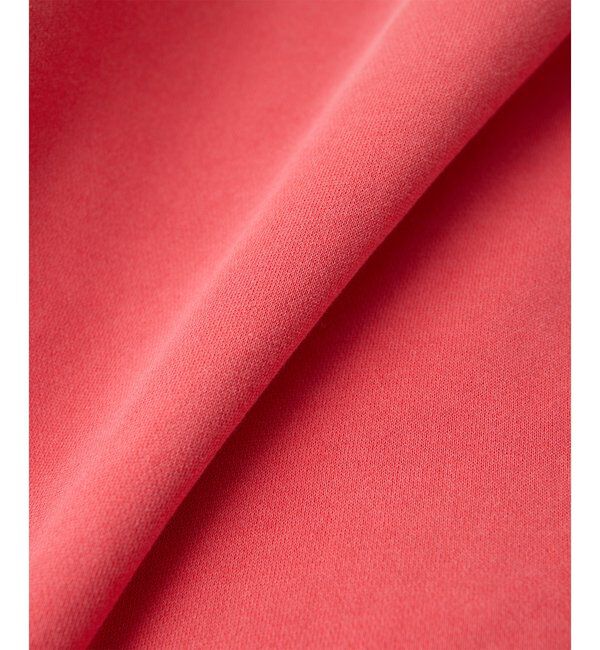  「【インフルエンサーコラボ】ピグメントスウェットプルオーバー」|Tシャツ・カットソー|