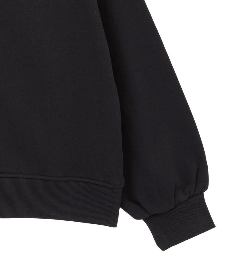 AMERICAN HOLIC「ワンポイントサガラ刺繍裏毛プルオーバー」|スウェット・ジャージ|