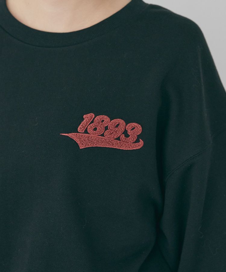 AMERICAN HOLIC「ワンポイントサガラ刺繍裏毛プルオーバー」|スウェット・ジャージ|