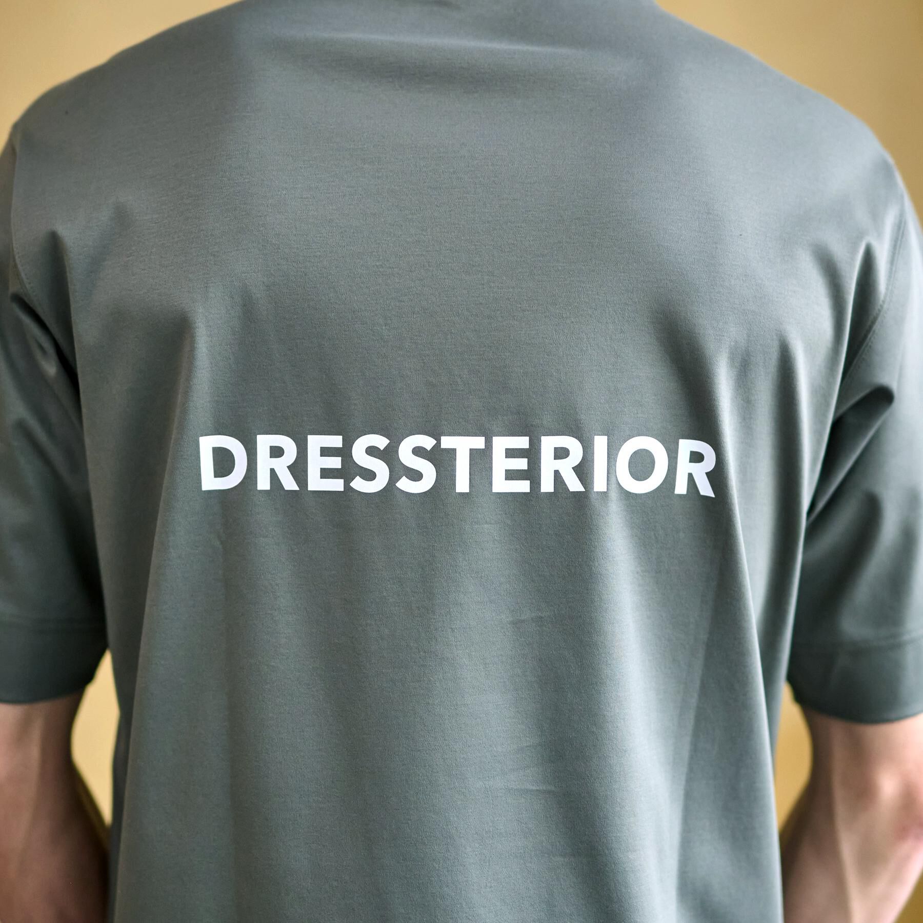 DRESSTERIOR「【接触冷感/抗菌防臭/消臭】ICE CLEAR COTTON オーバーフィットTシャツ」|Tシャツ・カットソー|