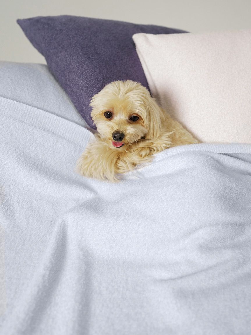 gelato pique Sleep「【Sleep】スムーズィー ハーフケット」|ブランケット|