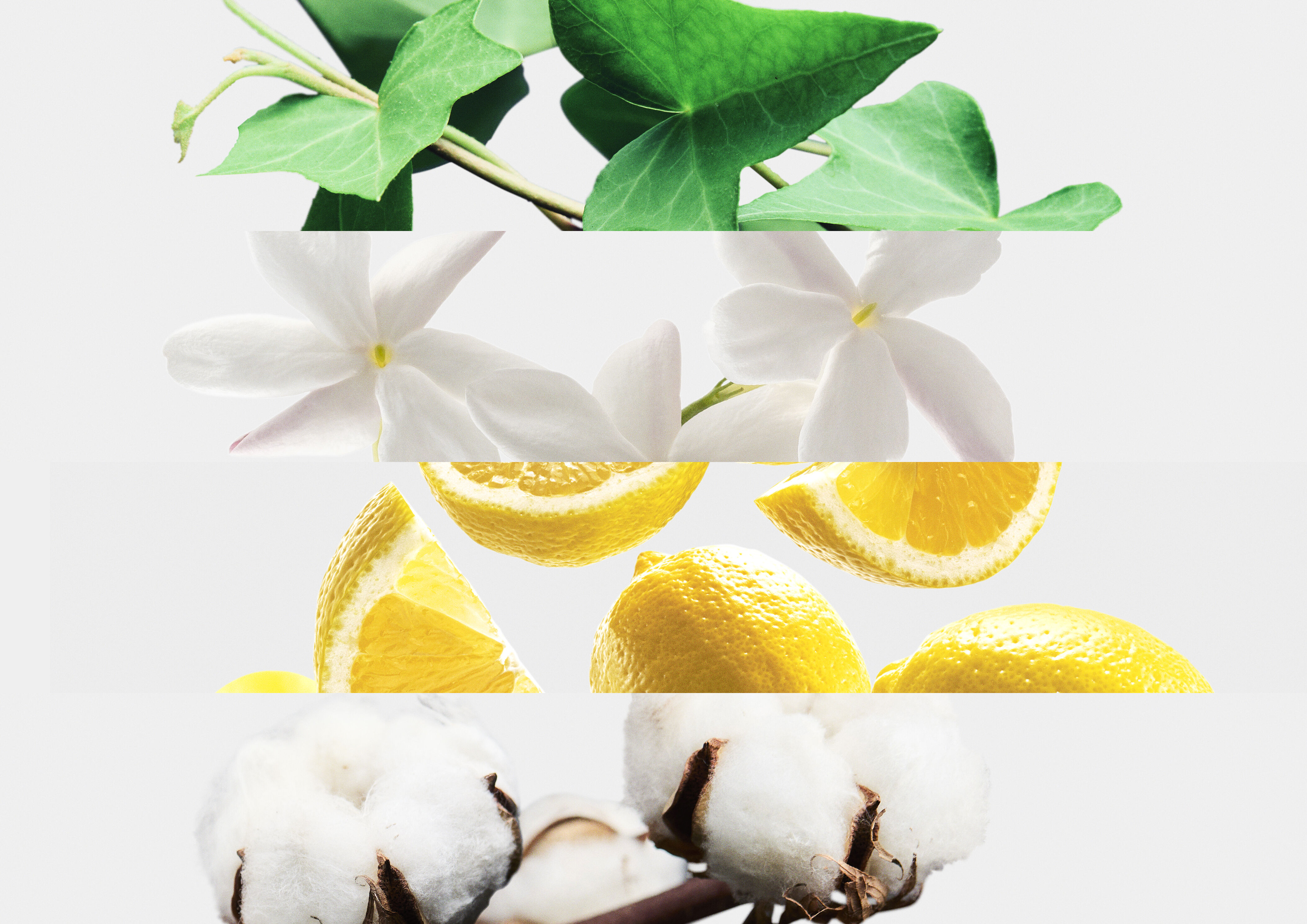 ReFa「リファザパフューム　ヘアミスト　クリーンムスク」|ヘアスタイリング|