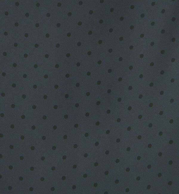 STEVEN ALAN「＜Steven Alan＞ドット プリント ワイドパンツ」|その他|