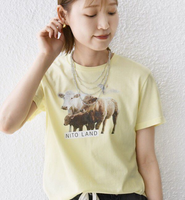 SHIPS for women「【SHIPS別注】ACASAM: フォト TEE」|Tシャツ・カットソー|