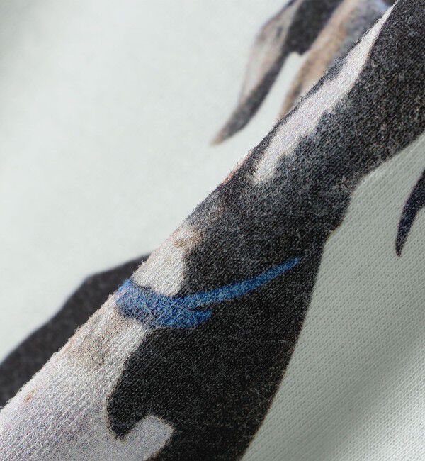 SHIPS for women「【SHIPS別注】ACASAM: フォト TEE」|Tシャツ・カットソー|