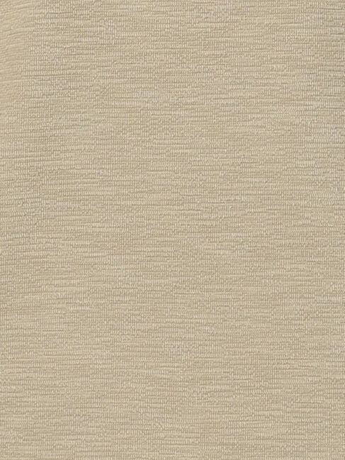 Te chichi「スラブ天竺プルオーバー」|Tシャツ・カットソー|