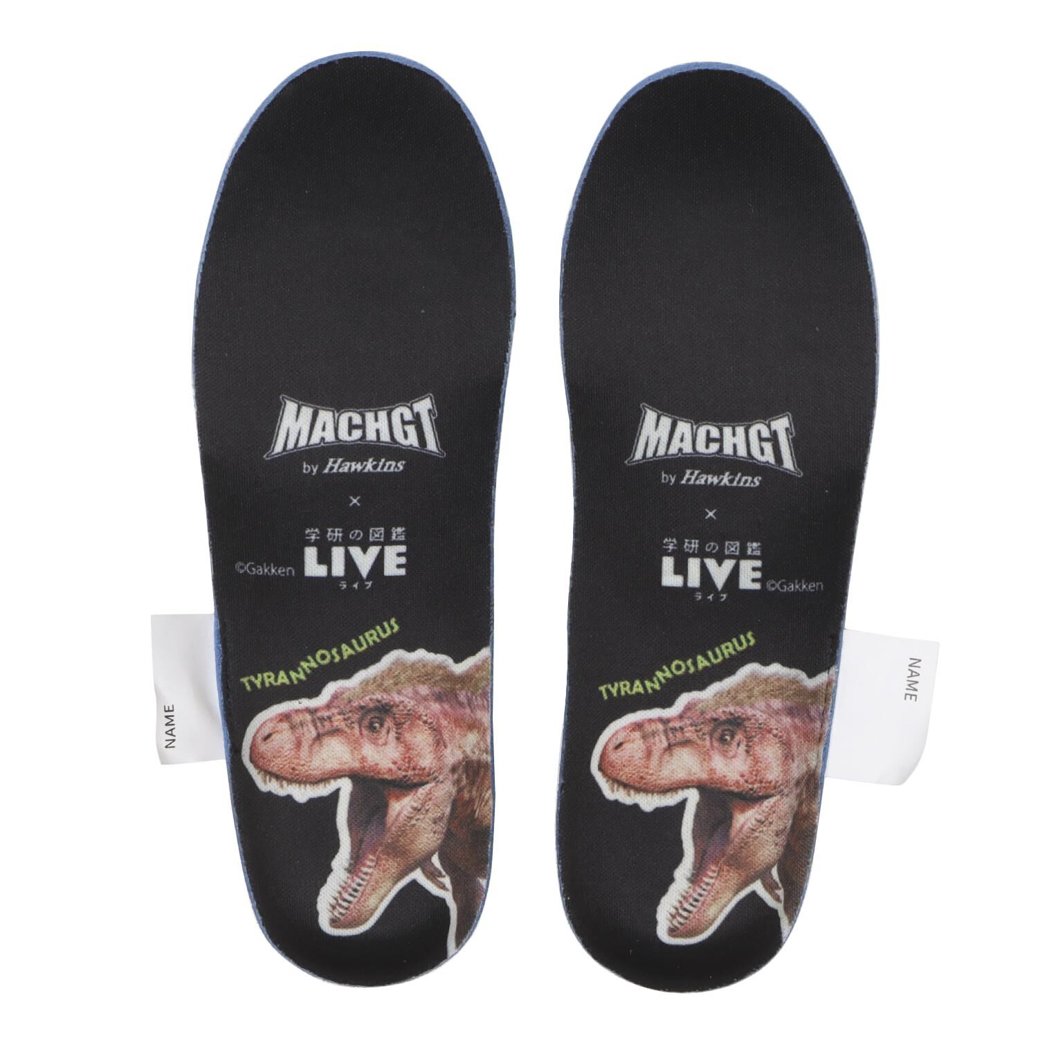 HAWKINS「【HAWKINS】16-20 MACH DINO」|スニーカー|