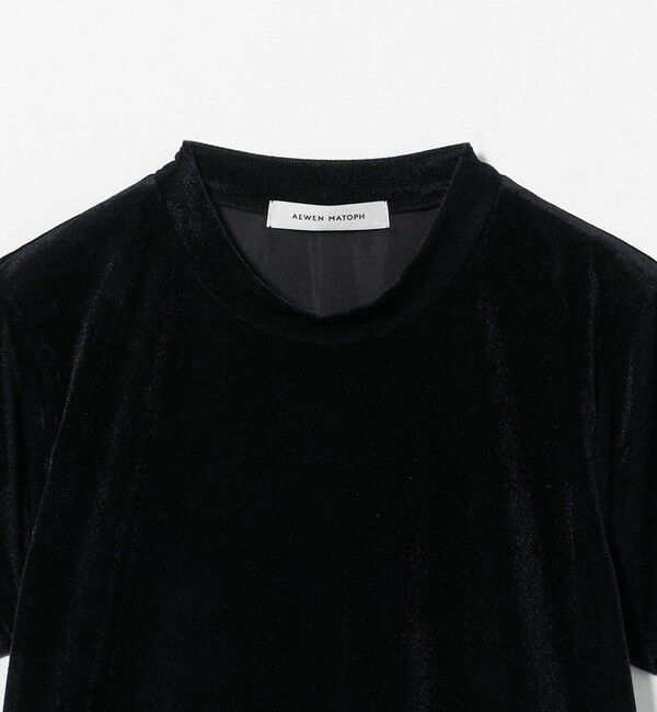 AEWEN MATOPH「＜AEWEN MATOPH＞シアー ベロア Tシャツ」|Tシャツ・カットソー|