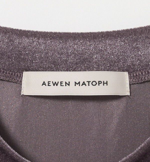 AEWEN MATOPH「＜AEWEN MATOPH＞シアー ベロア Tシャツ」|Tシャツ・カットソー|