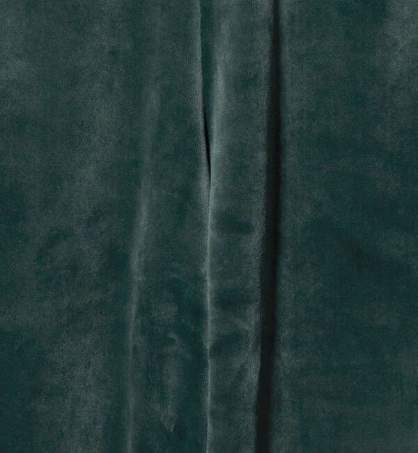 BEAUTY&YOUTH UNITED ARROWS「＜adidas Originals＞ファイヤーバード ベロアトラックパンツ」|その他|