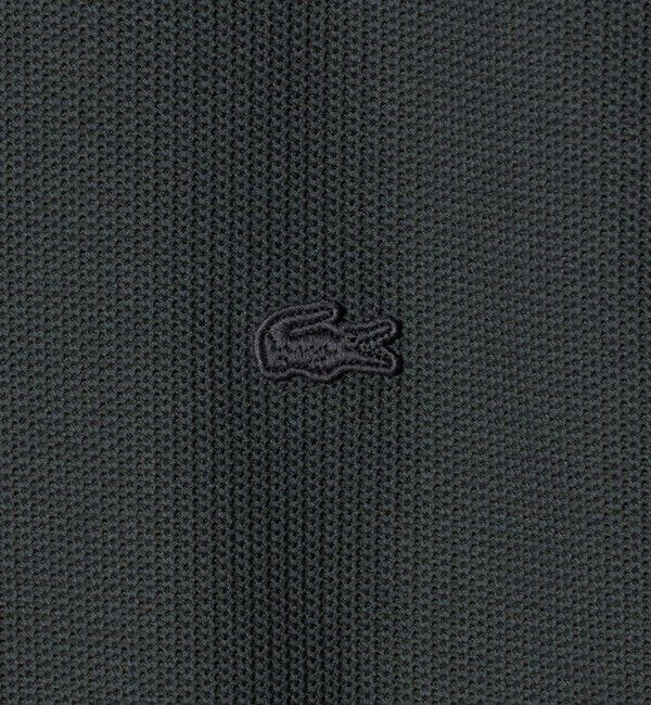 BEAUTY&YOUTH UNITED ARROWS「＜LACOSTE for BEAUTY&YOUTH＞ワントーン ロング スリーブ カットソー」|Tシャツ・カットソー|