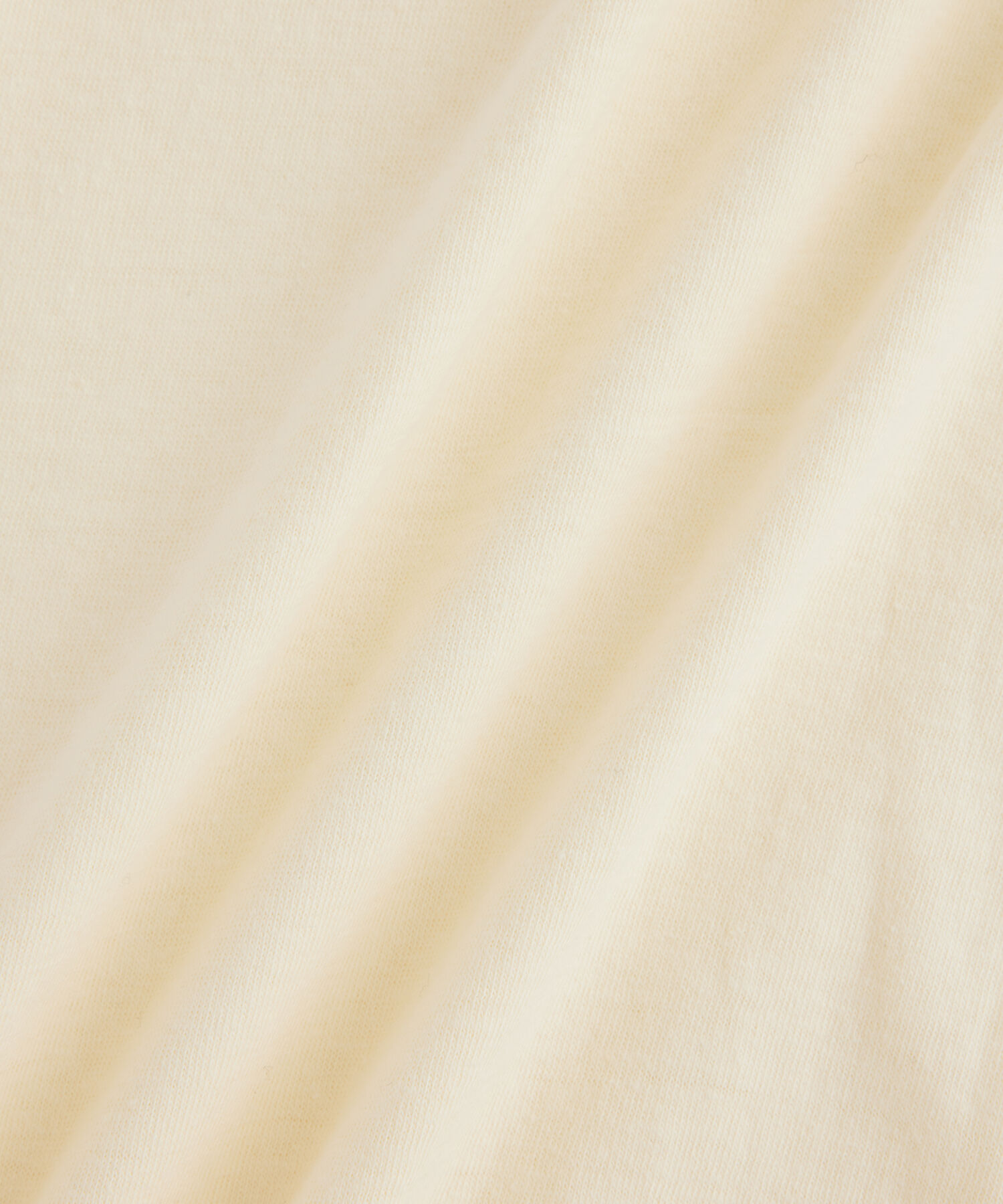 ADAM ET ROPE'「【Hanes for BIOTOP】RECYCLE COTTON MOCK NECK T-SHIRTS（2枚パック）/Unisex」|Tシャツ・カットソー|