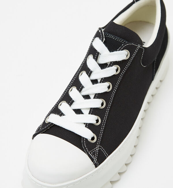 alfredoBANNISTER「【40周年】キャンバス スニーカー【MASTER KICKS】」|スニーカー|