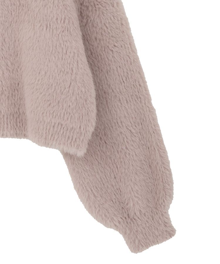 earth music&ecology「Wフェイスシャギープルオーバー」|ニット・セーター|