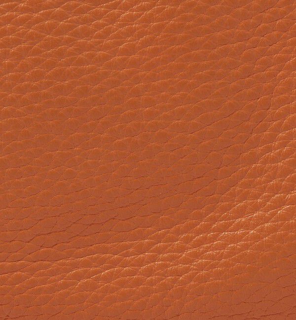 TOMORROWLAND GOODS「TOMORROWLAND シュリンクレザー ミニショルダーバッグ」|ショルダー・メッセンジャー|