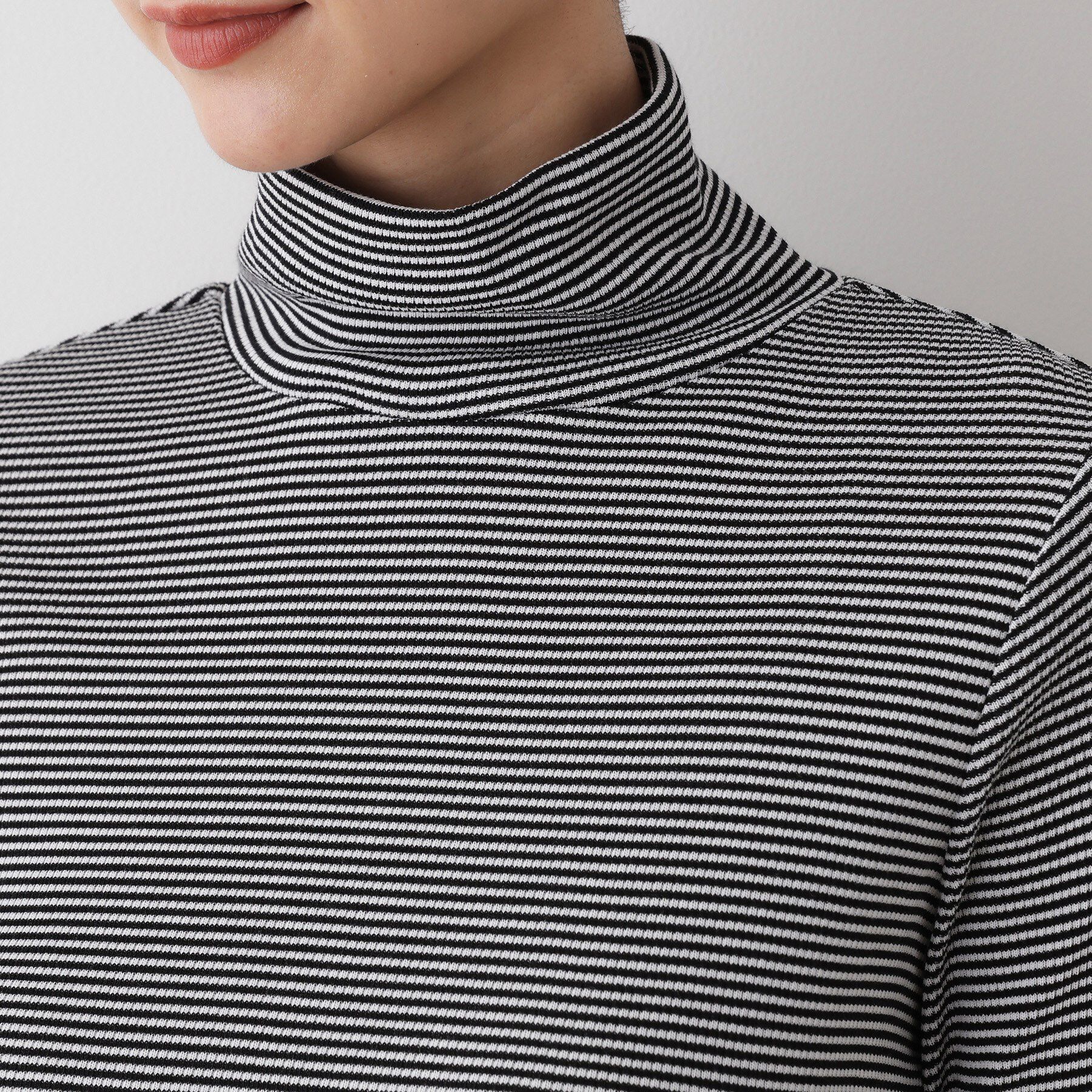 Dessin「【吸湿発熱/抗菌防臭】ジンジャー混タートルネックプルオ－バー」|Tシャツ・カットソー|