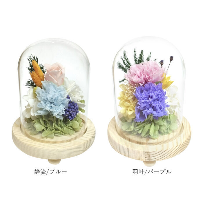 BACKYARD FAMILY「ガラスドーム インテリア アレンジメント L 通販 フラワーアレンジメント プリザーブドフラワー」|その他|