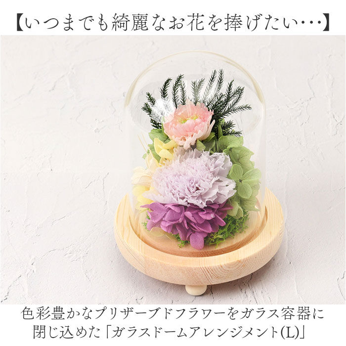 BACKYARD FAMILY「ガラスドーム インテリア アレンジメント L 通販 フラワーアレンジメント プリザーブドフラワー」|その他|