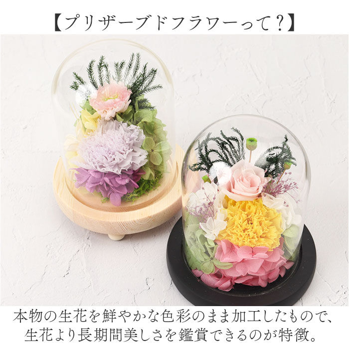 BACKYARD FAMILY「ガラスドーム インテリア アレンジメント L 通販 フラワーアレンジメント プリザーブドフラワー」|その他|