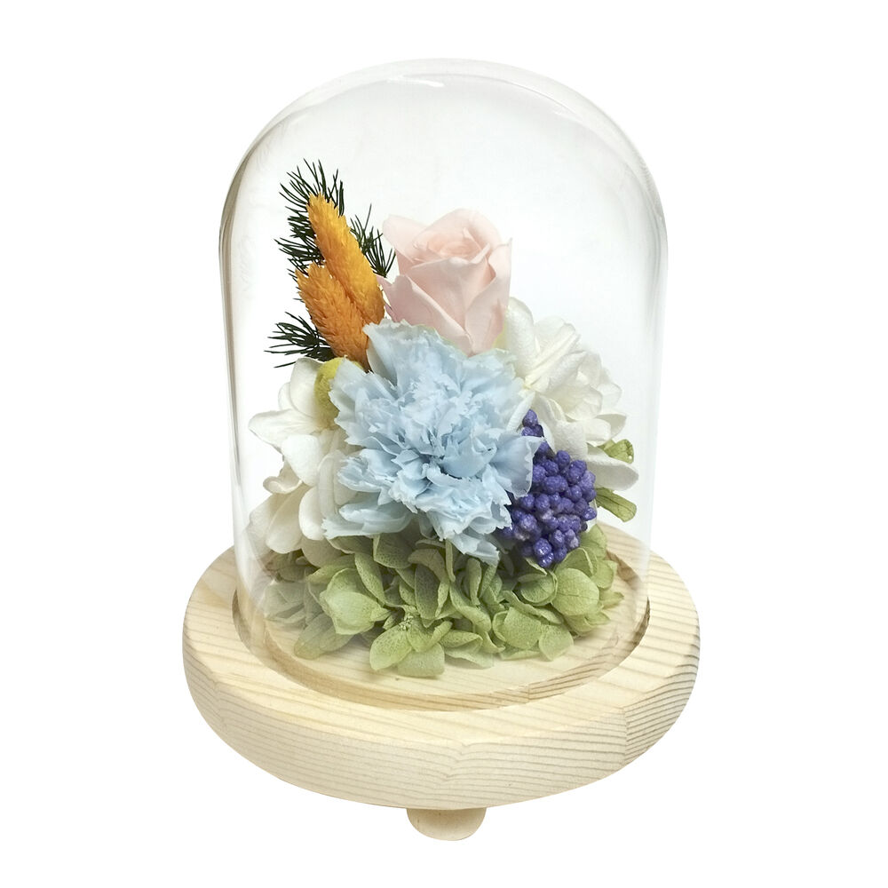 BACKYARD FAMILY「ガラスドーム インテリア アレンジメント L 通販 フラワーアレンジメント プリザーブドフラワー」|その他|ブルー1