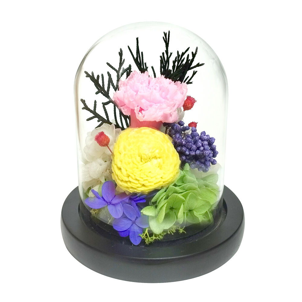 BACKYARD FAMILY「ガラスドーム インテリア アレンジメント L 通販 フラワーアレンジメント プリザーブドフラワー」|その他|ピンク3