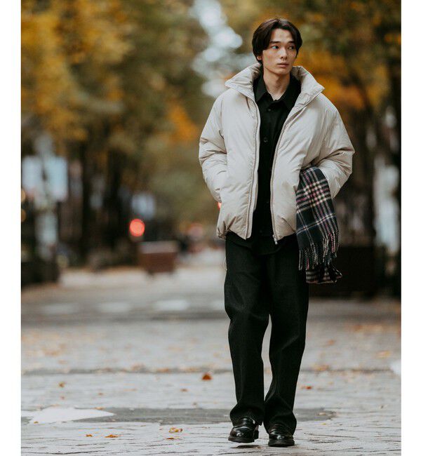 UNITED ARROWS green label relaxing「DICROS スタンド ダウン ブルゾン -撥水-」|ダウン|