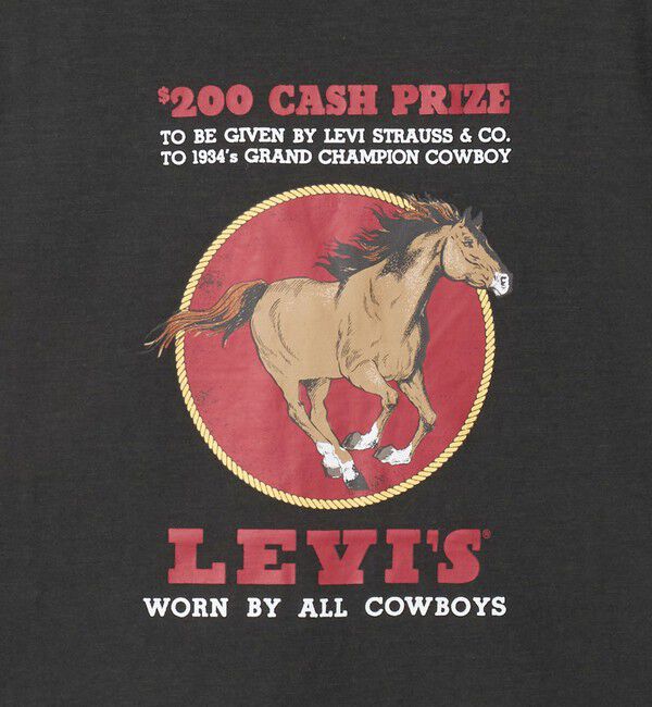 BEAUTY&YOUTH UNITED ARROWS「＜Levi's＞WESTERN Tシャツ」|Tシャツ・カットソー|